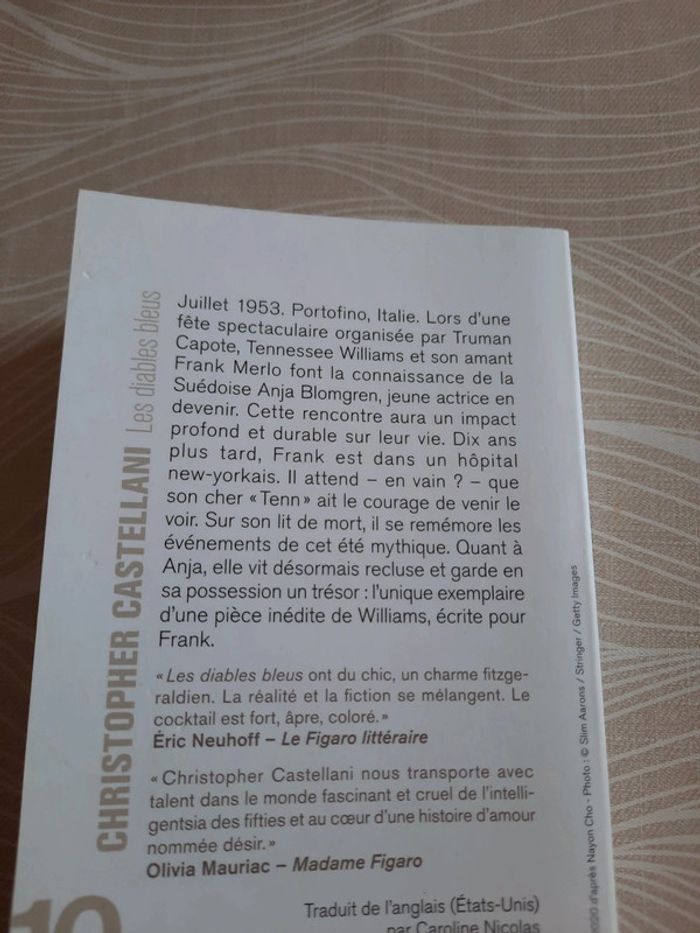 Les diables bleus de Christopher Castellani - photo numéro 3