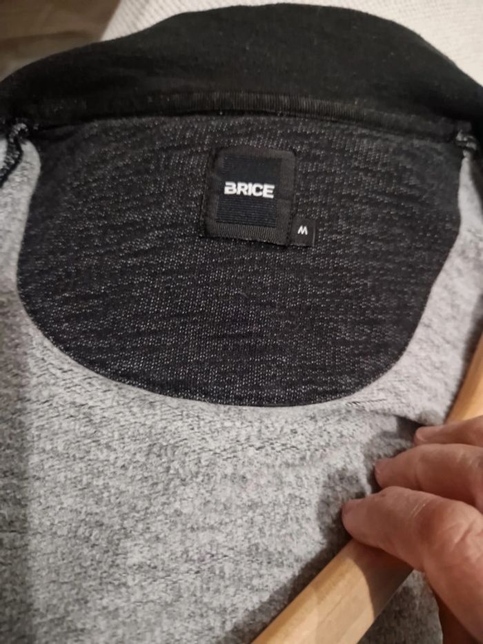 Gilet zippé 🩶 - photo numéro 17