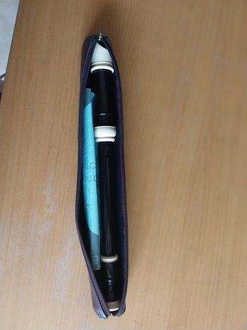 Flute à bec