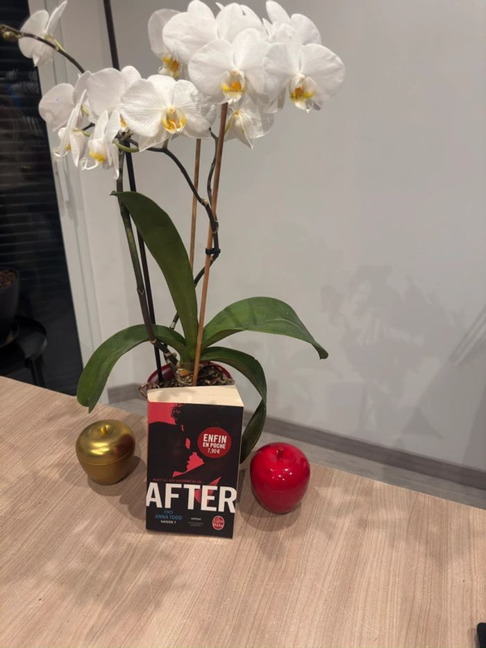 After tome 1 - Anna Todd
