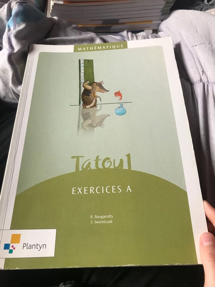 Tatou 1 mathématiques Plantyn - photo numéro 7