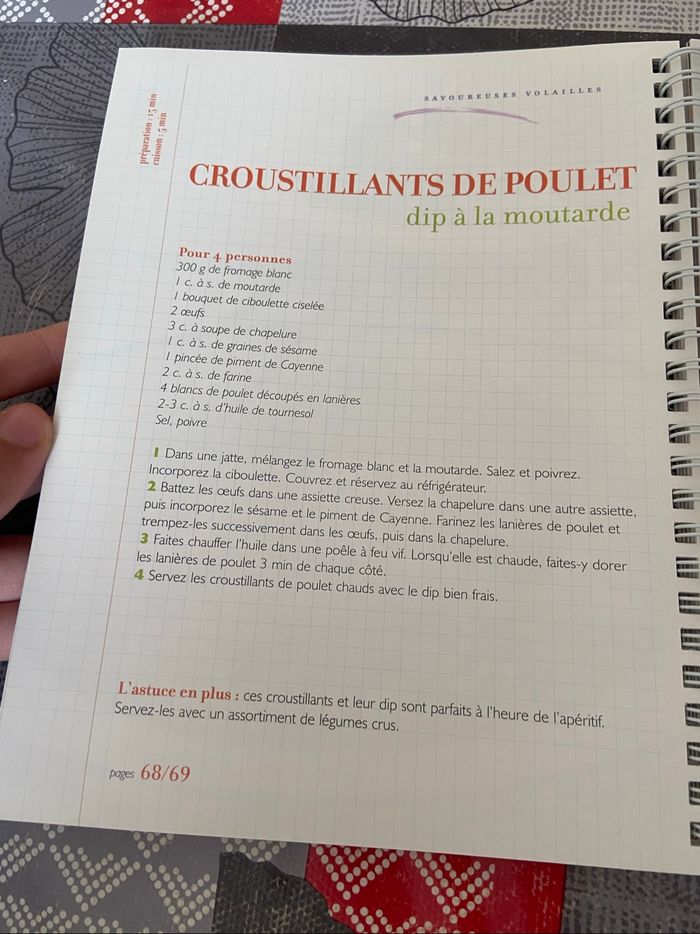 ~ Carnet de cuisine ~ Savoureuses volailles - photo numéro 3