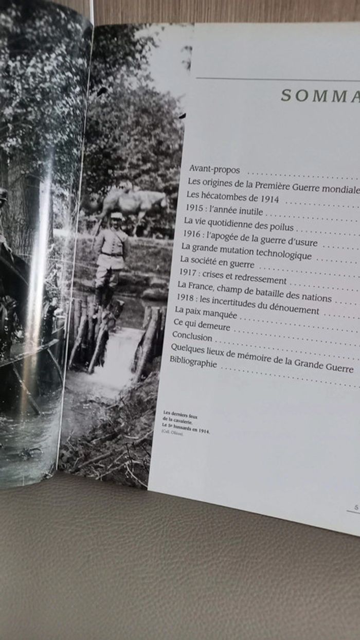 La Première Guerre mondiale en France - photo numéro 3