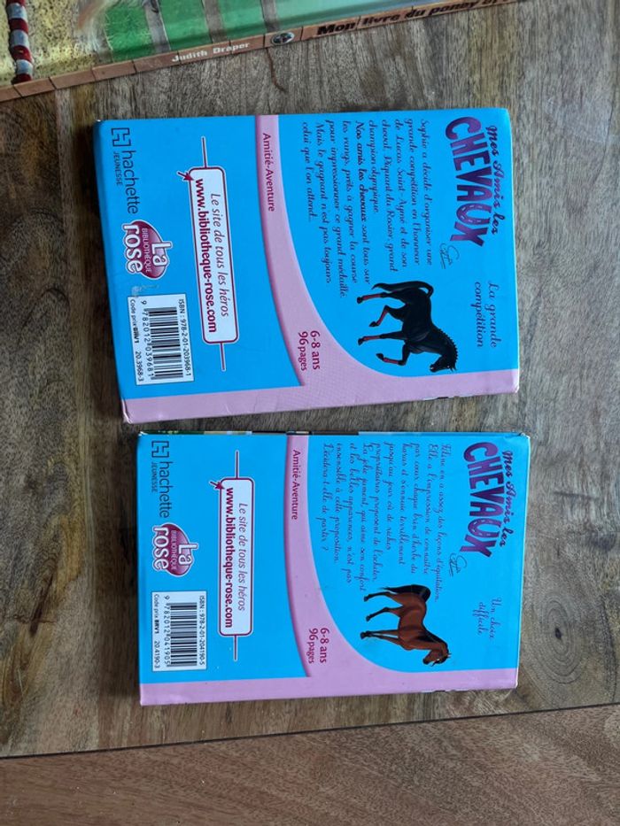 Lot livres thème chevaux/équitation - photo numéro 7