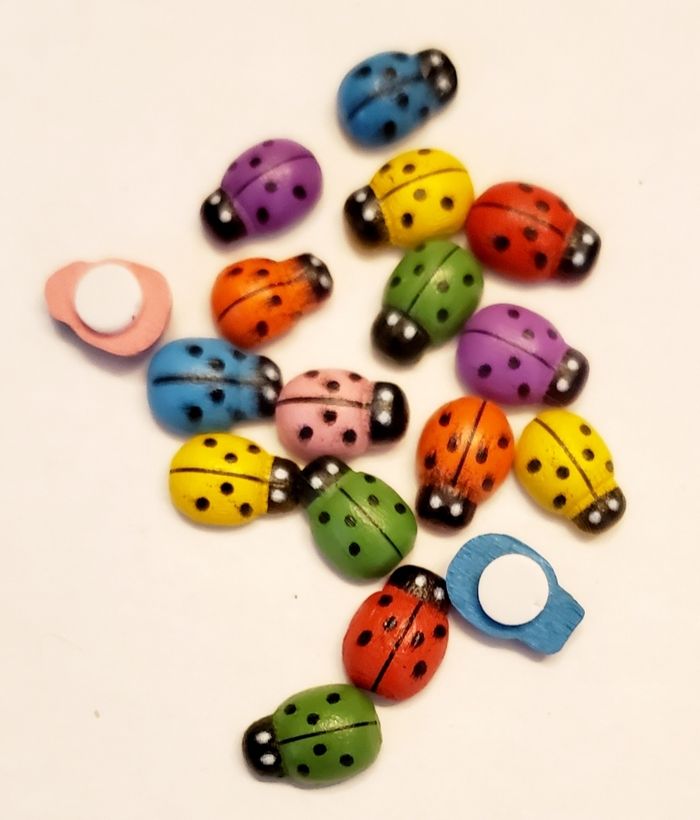 16 Coccinelles en bois - photo numéro 2