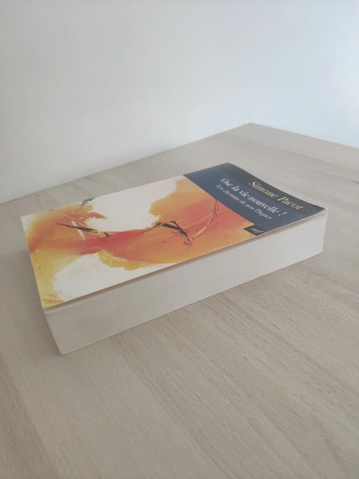 Livre ose la vie nouvelle les chemins Pâques Pacot évangélisation des profondeurs - photo numéro 3