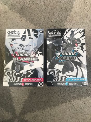 Pokemon duo bundle 10.5