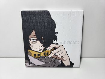 My Hero Academia Petit Cadre Aizawa