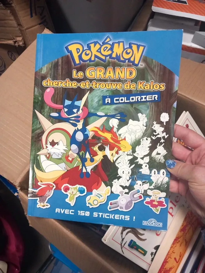Pokemon cherche et trouvé avec stickers