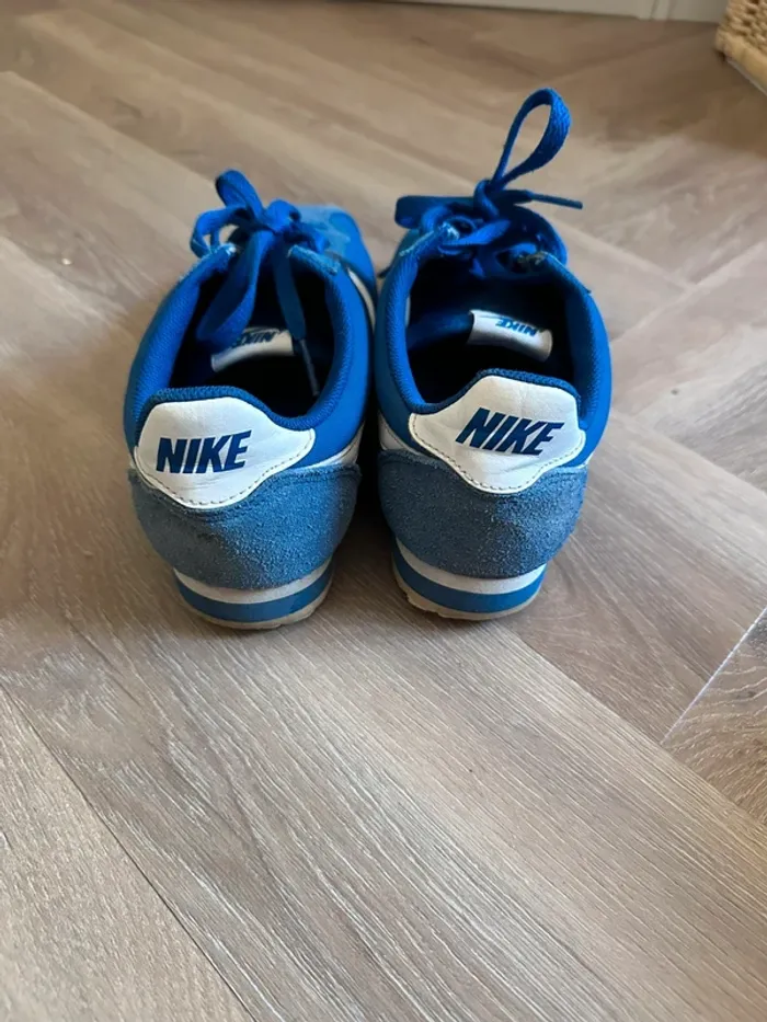 Cortez bleu - photo numéro 2