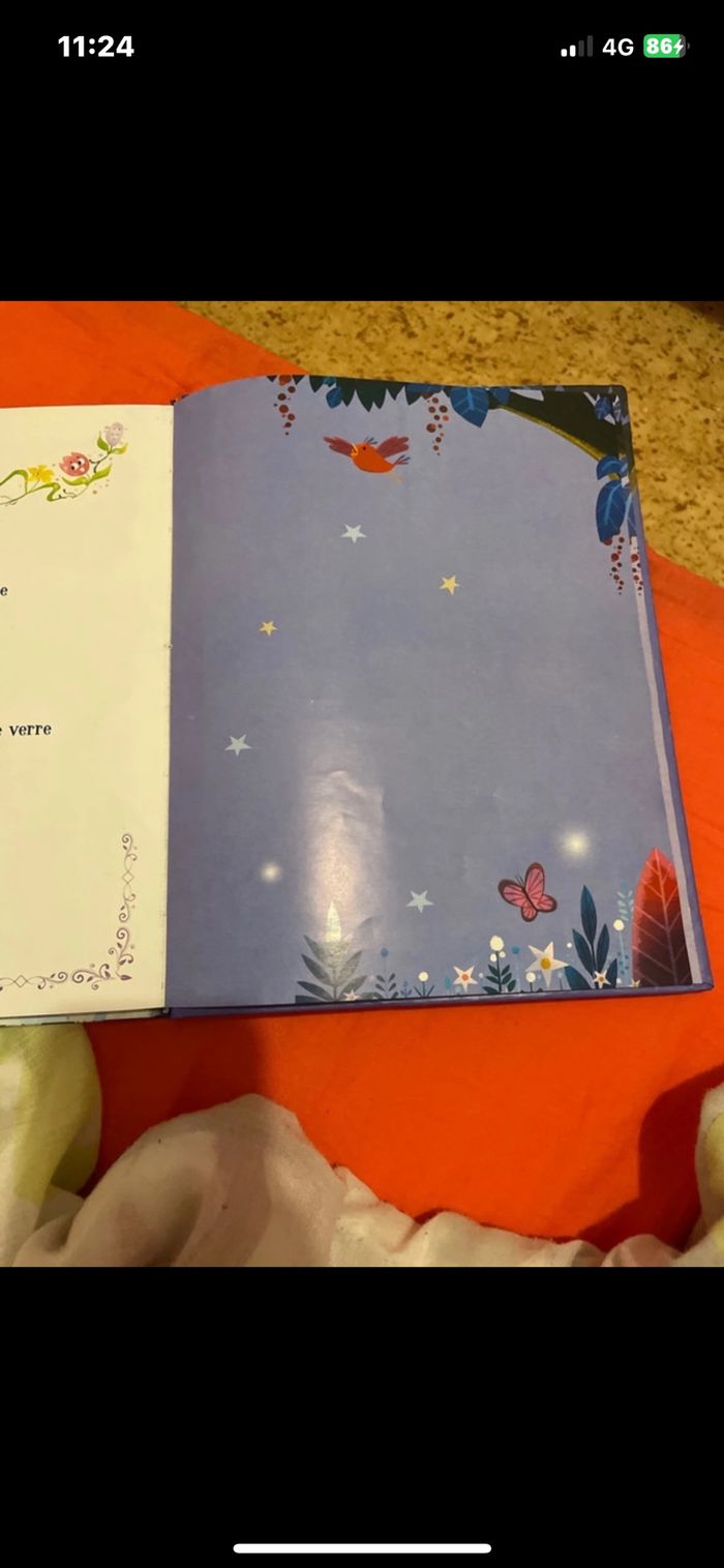 livre - photo numéro 6