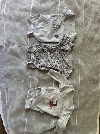 Bodies manche court/ long