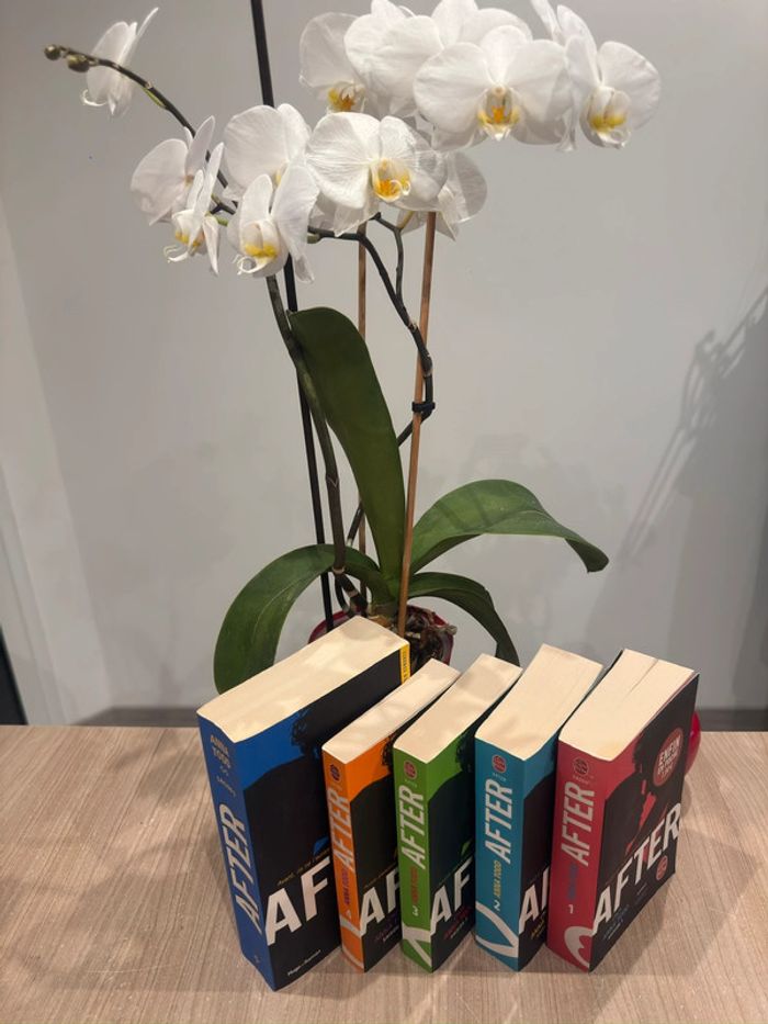Lot After tome 1 à 5 - Anna Todd - photo numéro 2