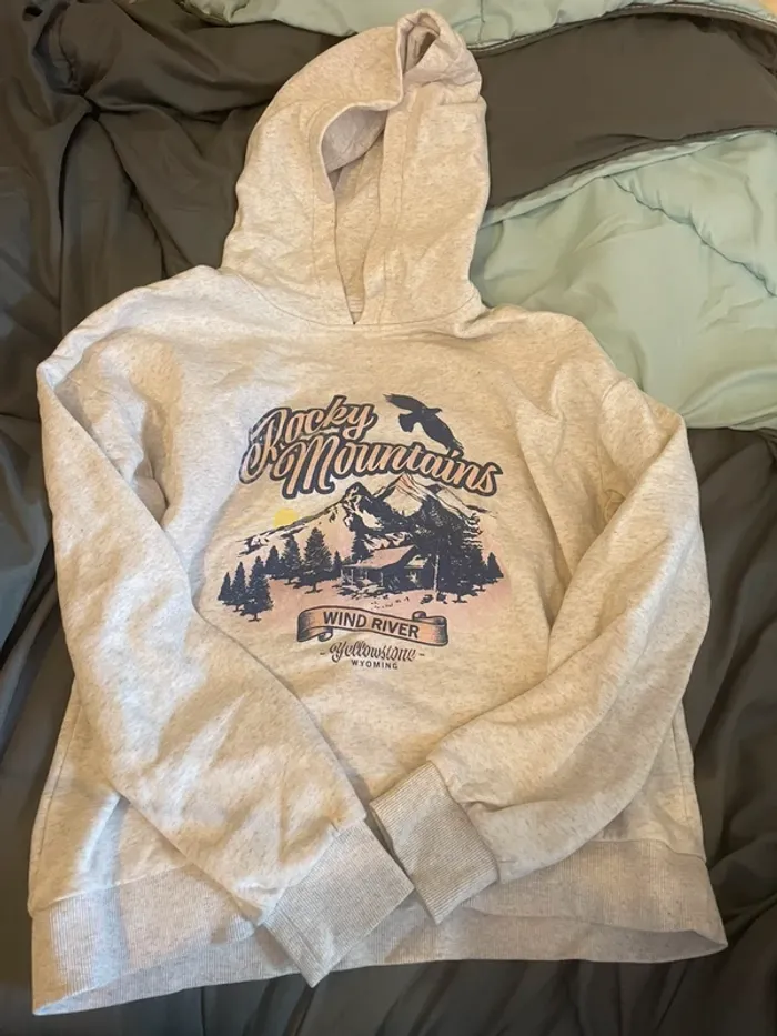 Lot 2 pull à capuche