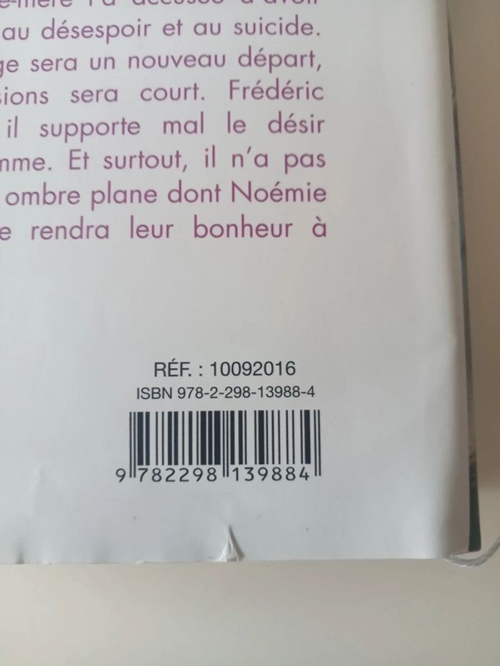 livre le maître du castellar - photo numéro 3