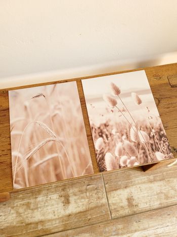 Lot de 2 affiches 13,5x18,5cm