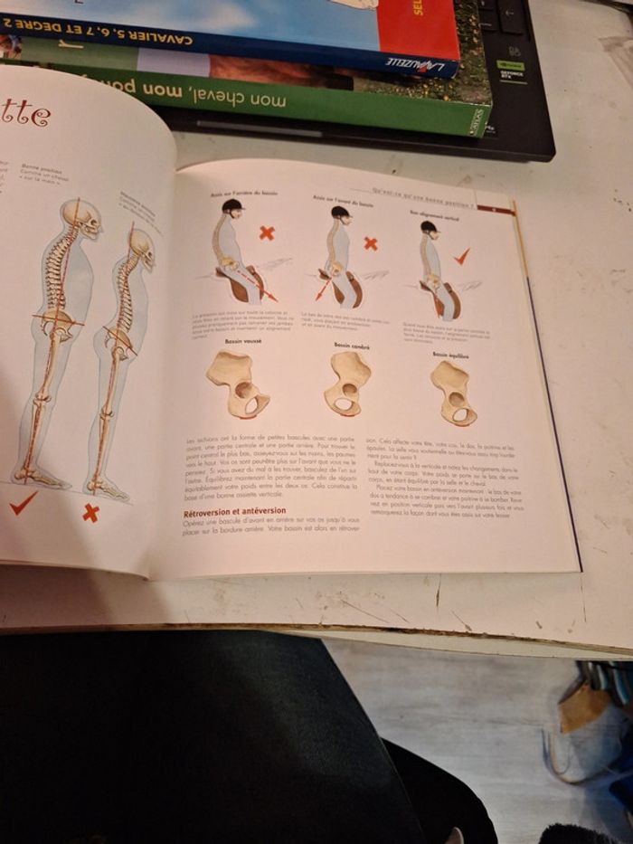 Livre la position et les aides - photo numéro 3