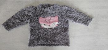 Pull à poils