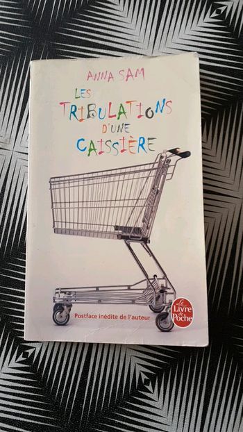 Livre les tribulations d une caissière