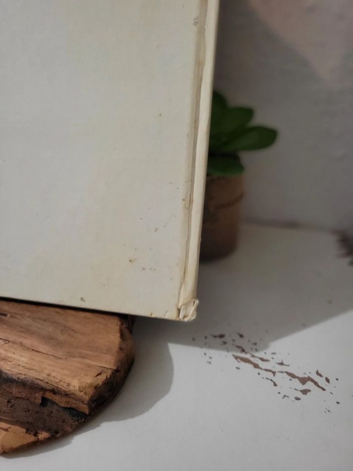 Bd livre "Les 12 travaux d'Asterix" Dargaud - photo numéro 13