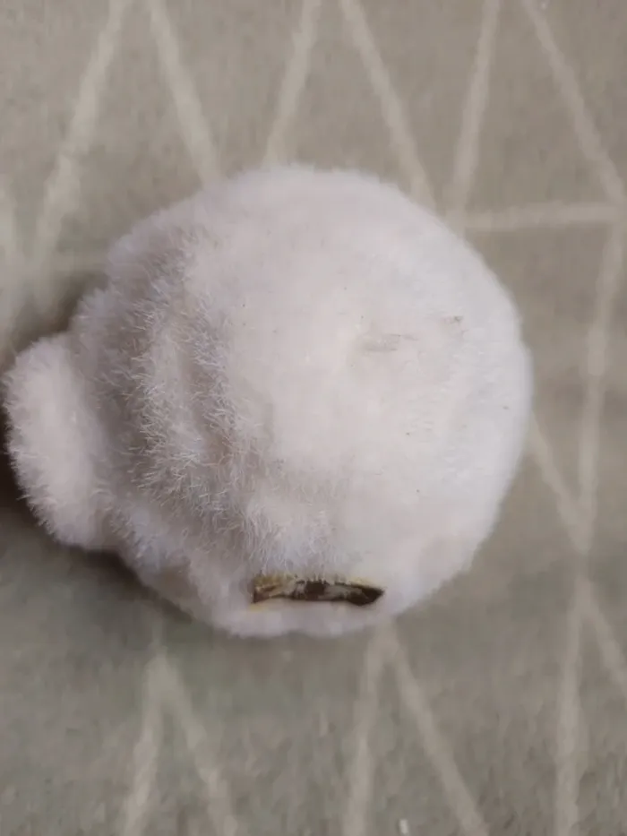 décorations fêtes - photo numéro 3