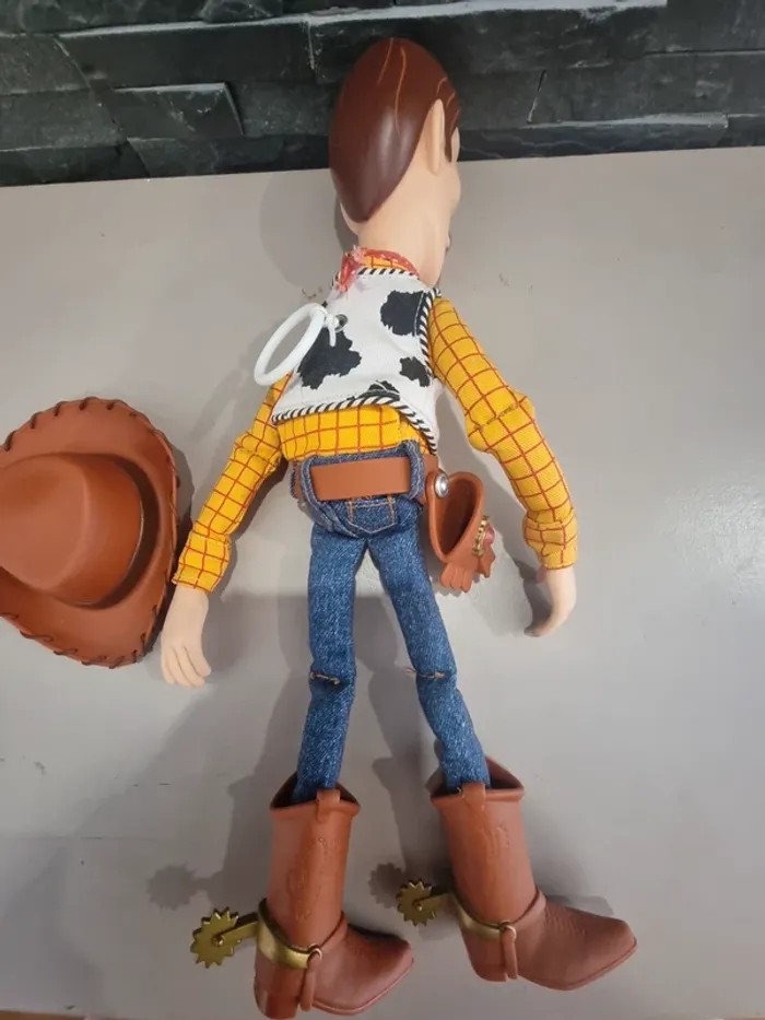 Woody signature collection - photo numéro 5