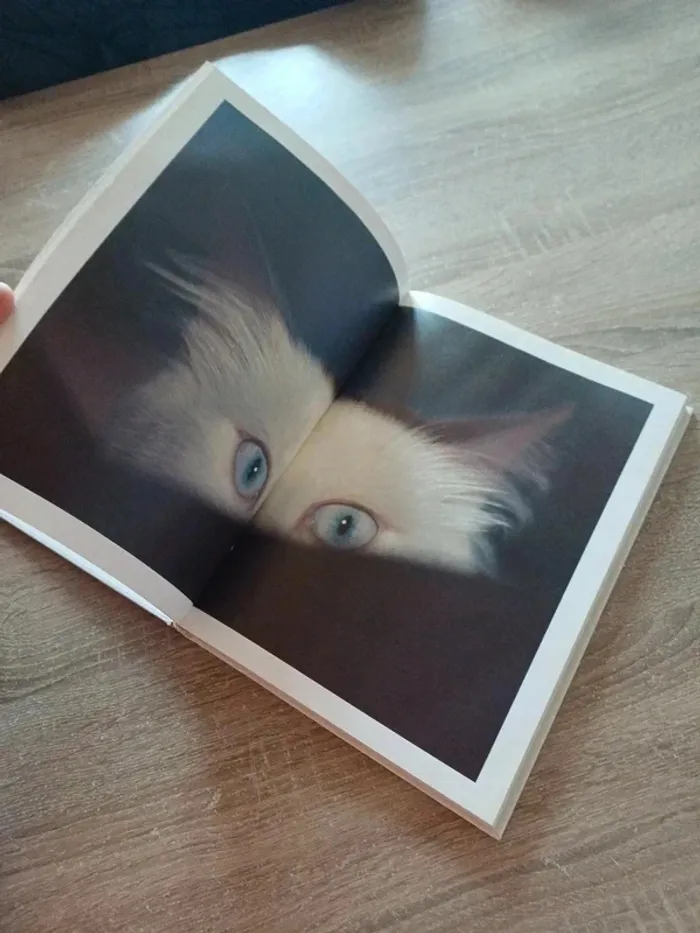 Livre " les chats , ces compagnons de jeu aux pattes de velours " - photo numéro 5