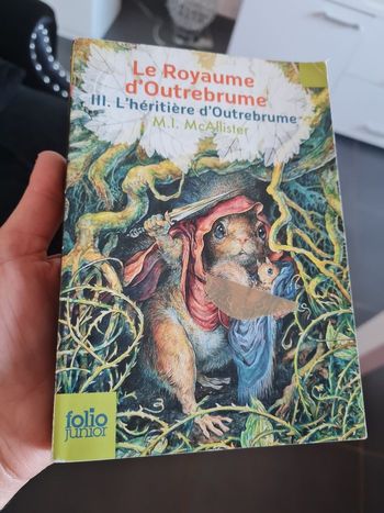 Le royaume d outrebrume