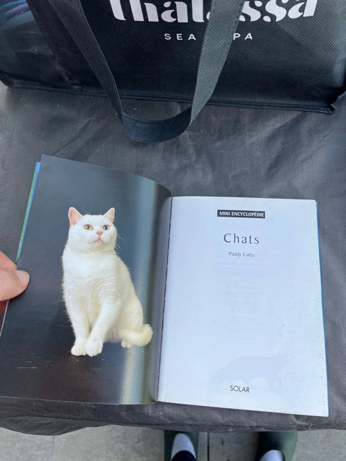 Mini encyclopédie Chats - photo numéro 5