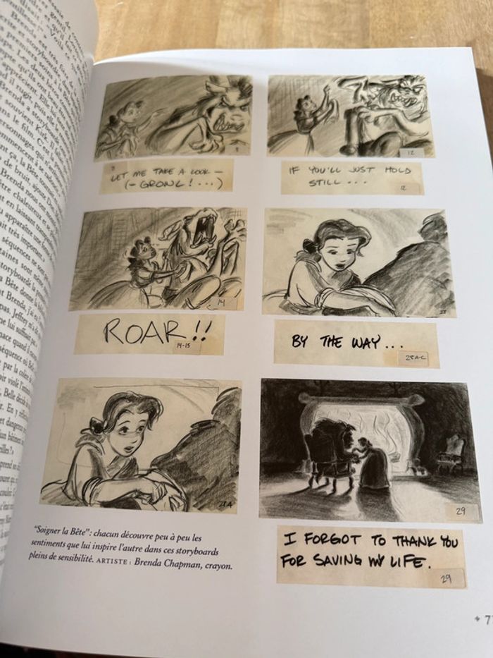 Grand livre rare Disney La Belle et la Bête - L’Histoire éternelle d’un chef d’œuvre Charles Solomon - photo numéro 9