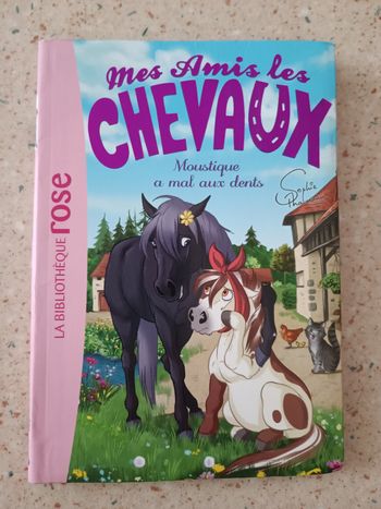 Livre mes amis les chevaux