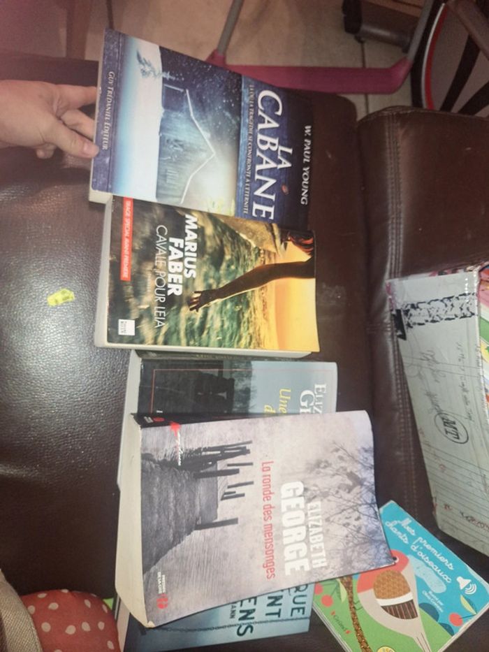 Très gros lot de livre pas chère - photo numéro 8