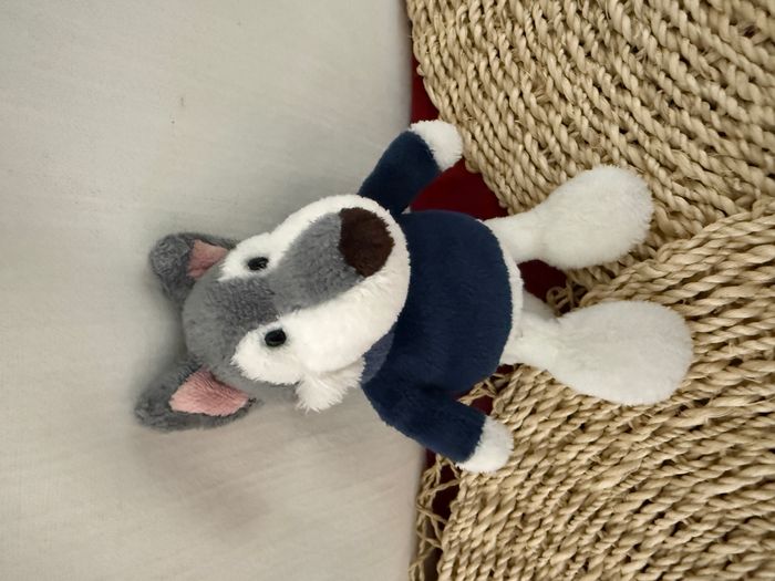 Nici Husky Jack, garçon en pull