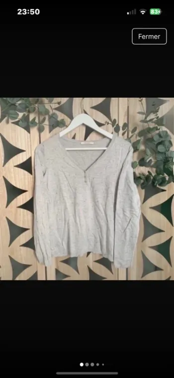 Pull camaïeu 36 gris et doré