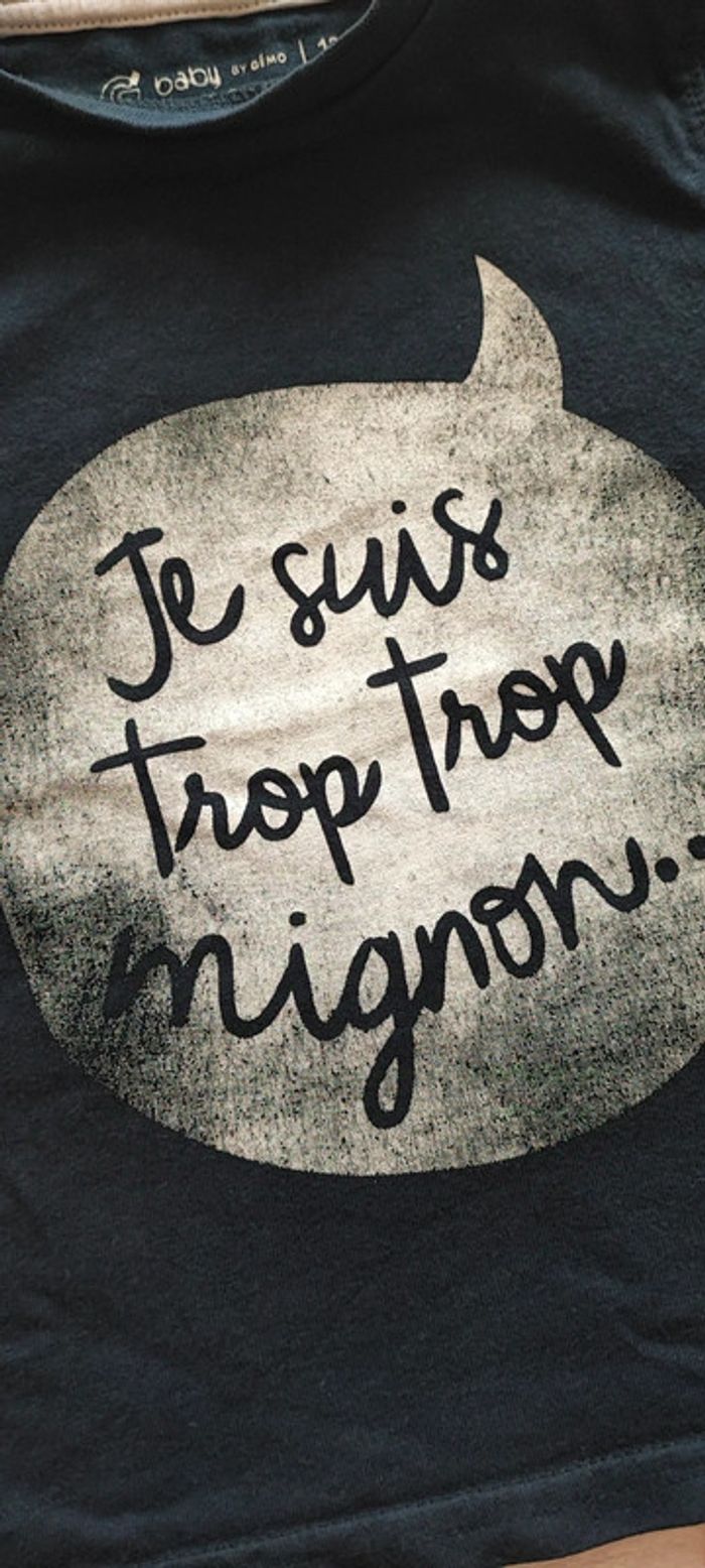 Haut 12m - photo numéro 3