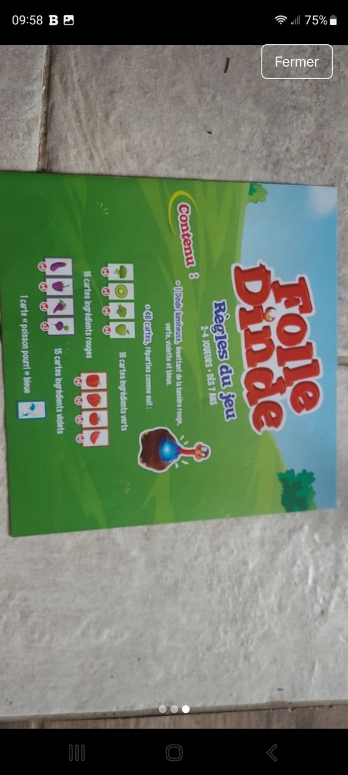 Folle dinde - photo numéro 2