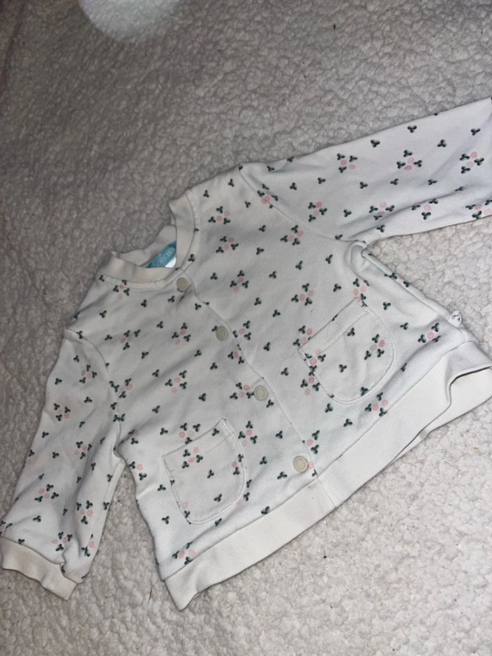 2 vestes 3 mois fille - photo numéro 2