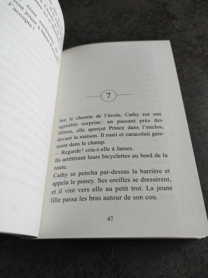 Livre 100% animaux - photo numéro 4