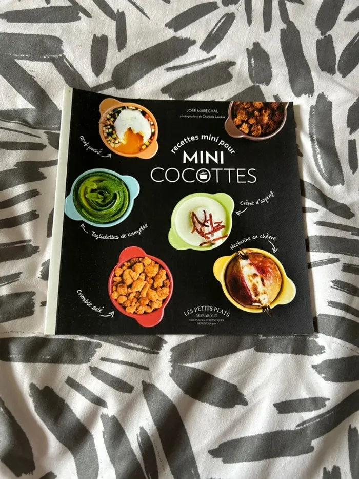 Recettes pour mini cocottes