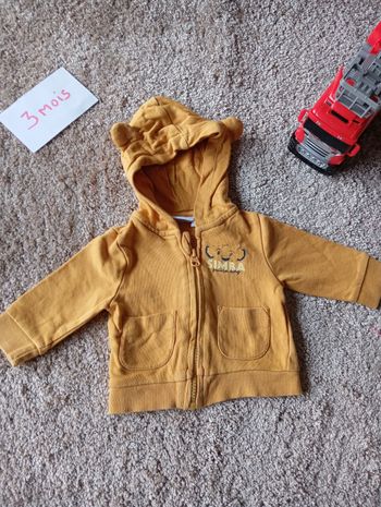 Veste a capuche 3 mois 