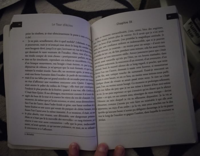 Livre "La Tour d'écrou" de Henry James édition Magnard en très bon état - photo numéro 2