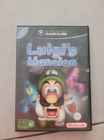 Luigi's mansion