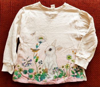 Sweat fille 4-6 ans / Whooli Chen et H&M