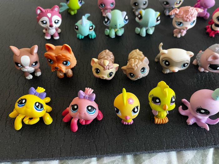 lot 30 petshop - photo numéro 2