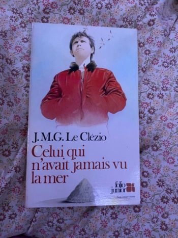 Livre Celui qui n’avait jamais vu la mer
