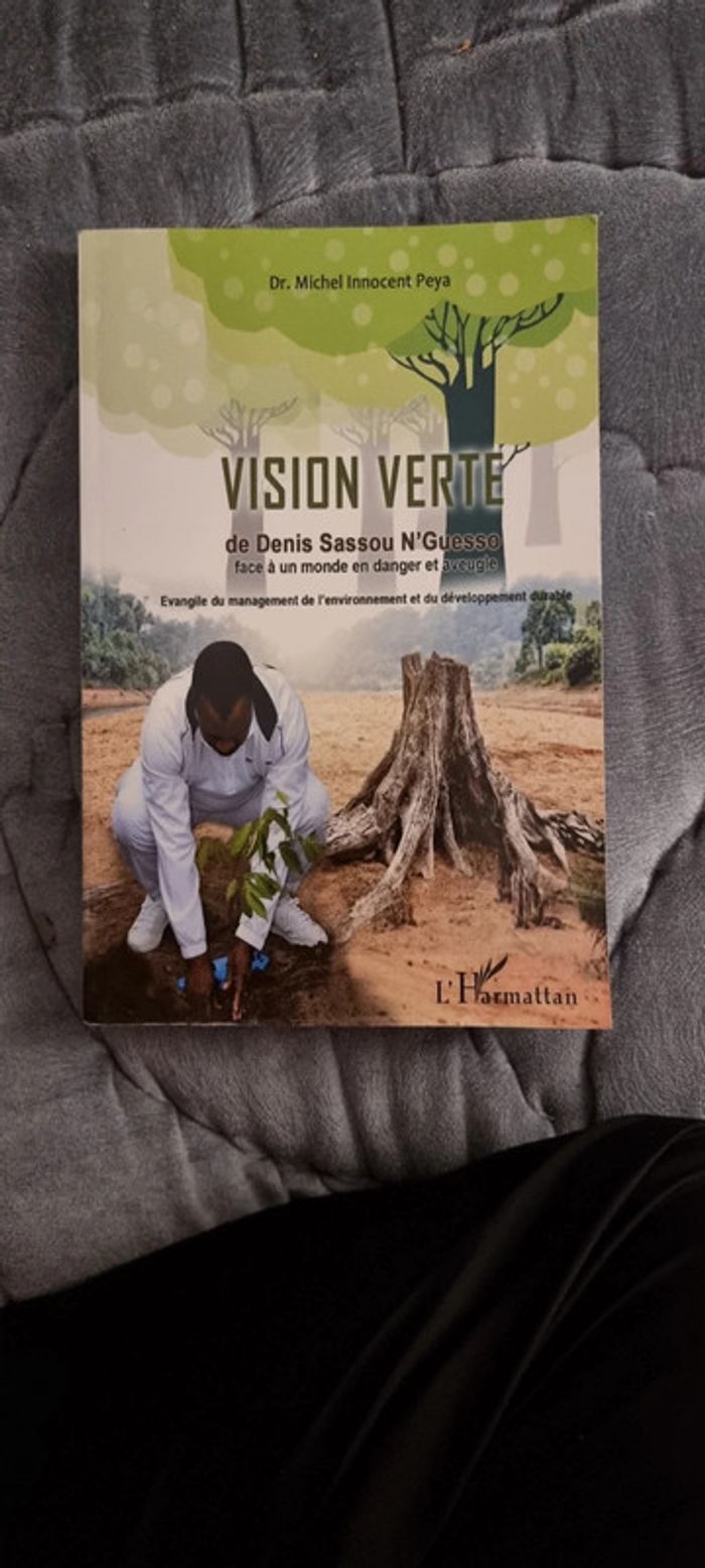 Livre Vision Verte de Denis Sassou N'Guesso a debattre