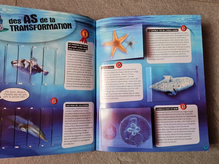 Livre créatures de la mer 1 2 3 doc fleurus attention les coins un peu abîmé - photo numéro 6