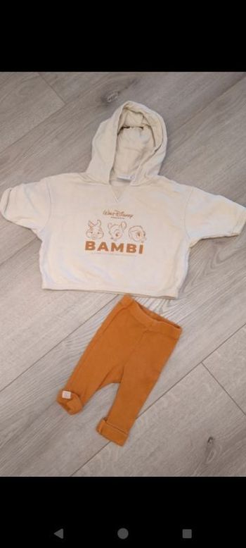 Ensemble Bambi