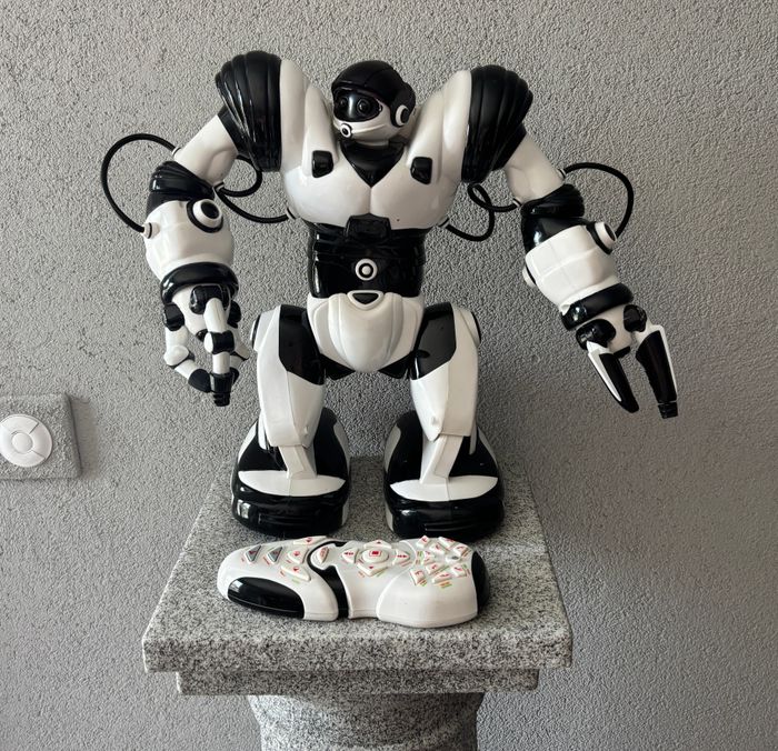 Robot Interactif