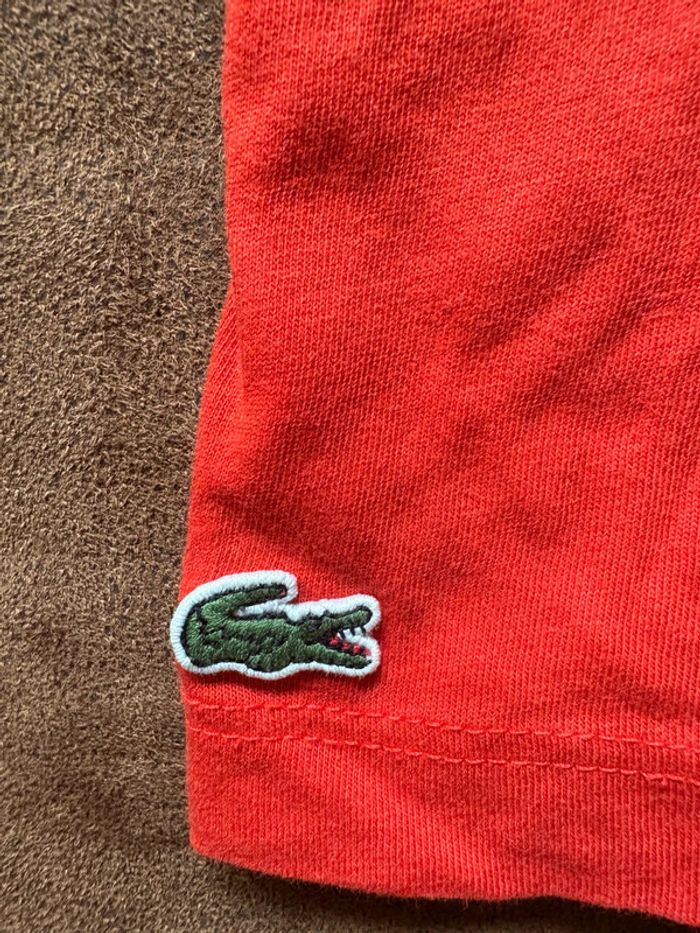 T-shirt Lacoste - photo numéro 4